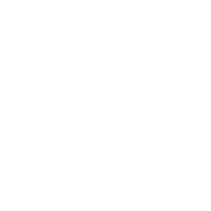 Spinzaar 500x500_white